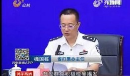 潘敏大哥爆料视频播放,精彩瞬间回顾