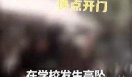 坠楼老师爆料视频大全最新,揭开教育乱象背后的真相